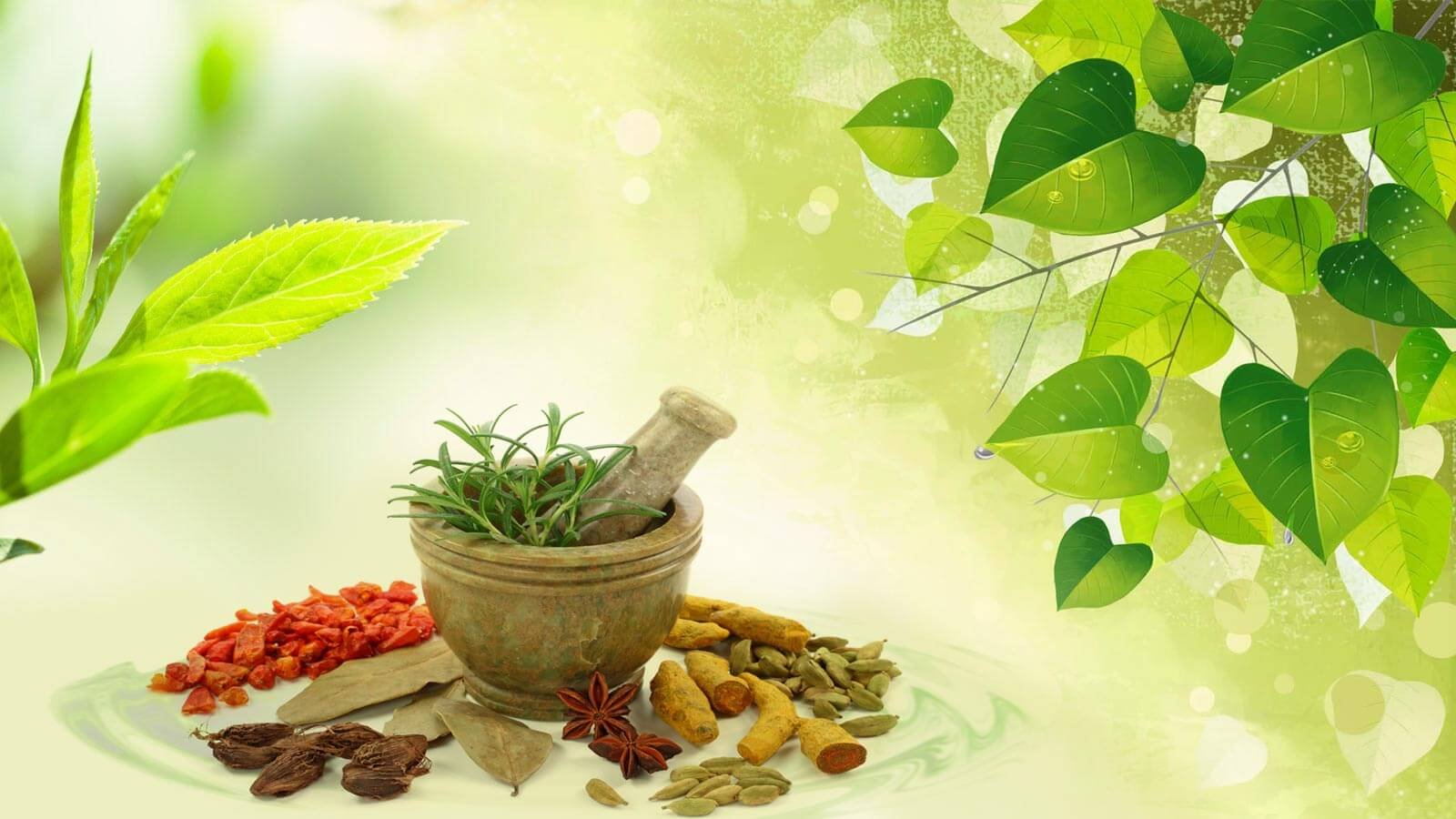 Ayurveda Treatments